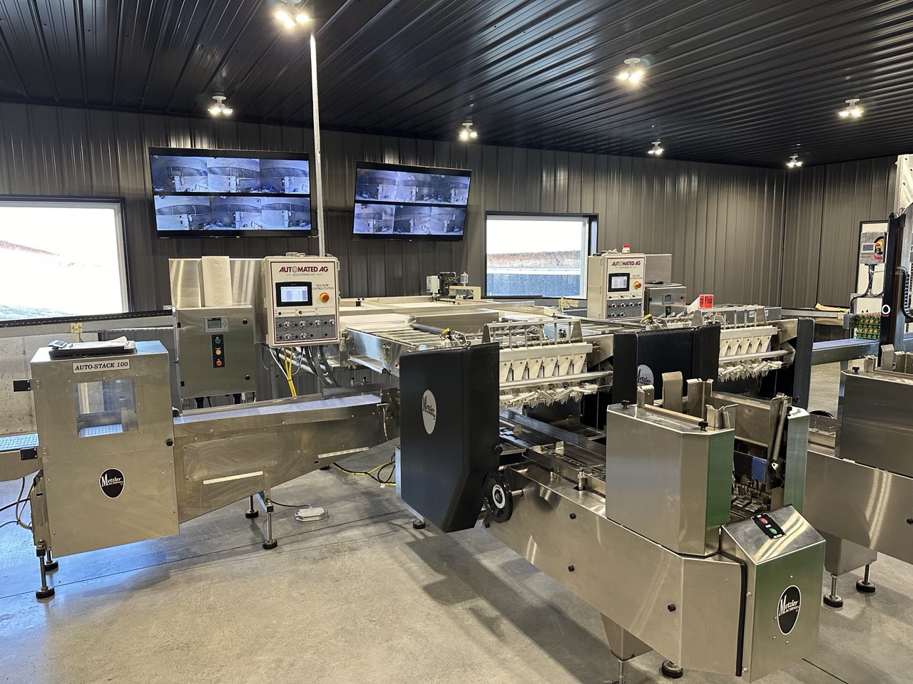 Video Monitoring System